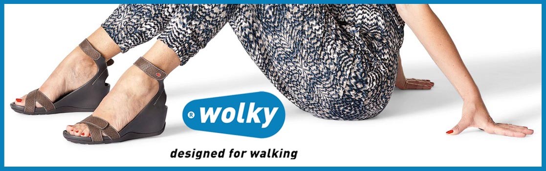 wolkybanner